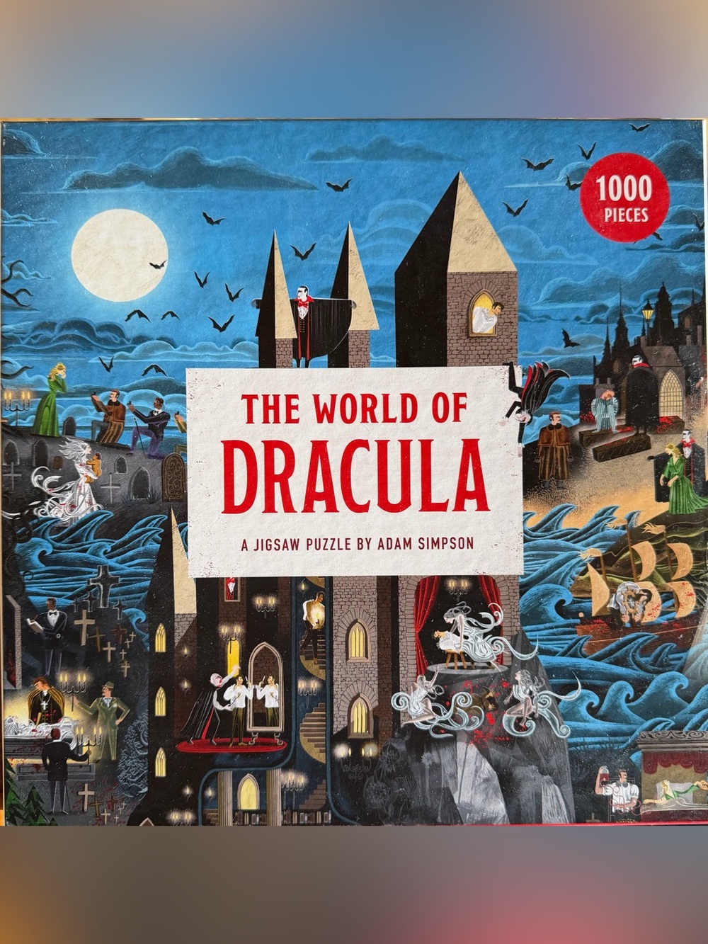 1000 Piece Jigsaw Puzzle